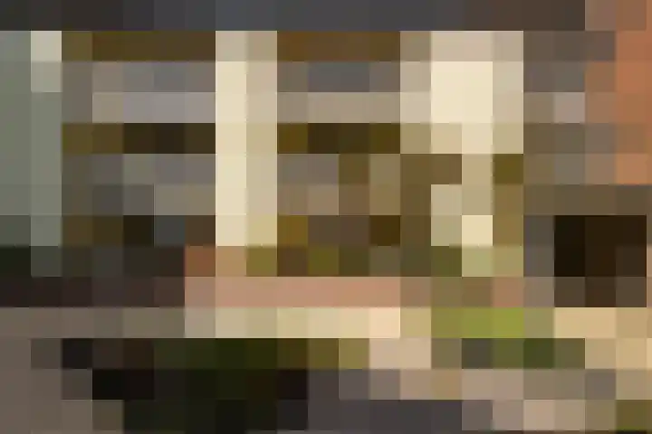 Nelson Mandelalaan 8 Zeist thumbnail 26