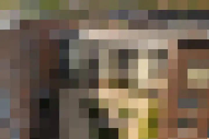 Nelson Mandelalaan 8 Zeist thumbnail 28