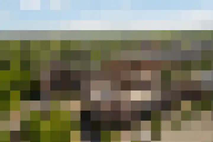 Nelson Mandelalaan 8 Zeist thumbnail 32