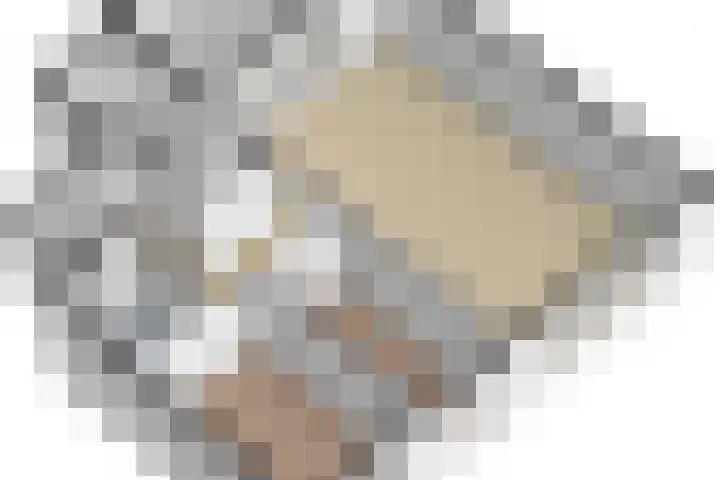 Nelson Mandelalaan 8 Zeist thumbnail 35