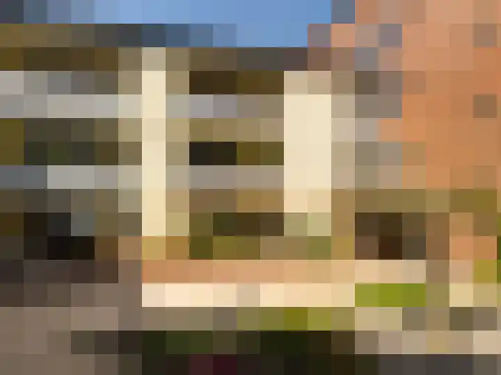 Nelson Mandelalaan 8 Zeist thumbnail 40