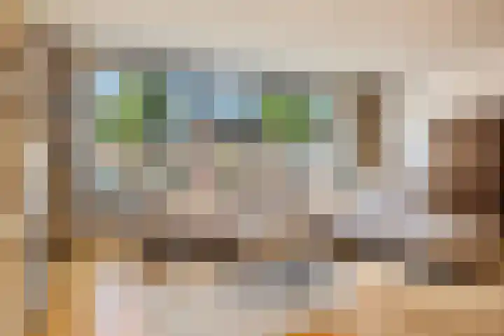 Nelson Mandelalaan 8 Zeist thumbnail 6