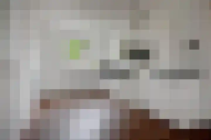 Nelson Mandelastraat 21 Hengelo thumbnail 14
