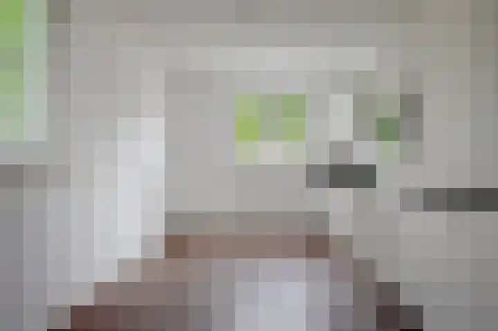 Nelson Mandelastraat 21 Hengelo thumbnail 15