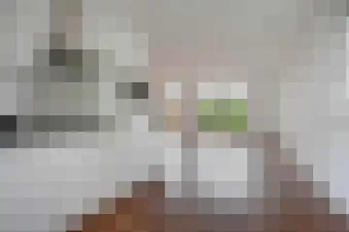 Nelson Mandelastraat 21 Hengelo thumbnail 16