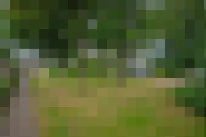 Nelson Mandelastraat 21 Hengelo thumbnail 29
