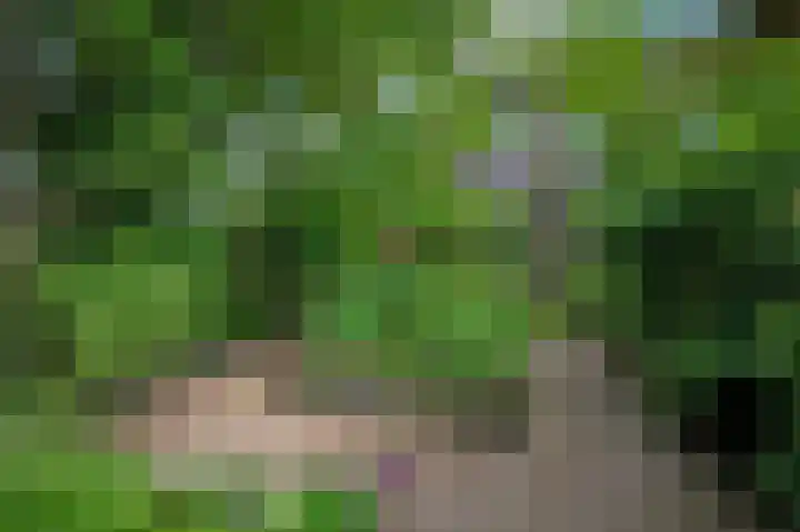 Nelson Mandelastraat 21 Hengelo thumbnail 31