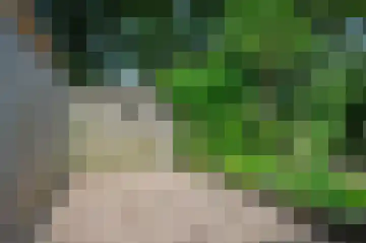 Nelson Mandelastraat 21 Hengelo thumbnail 32