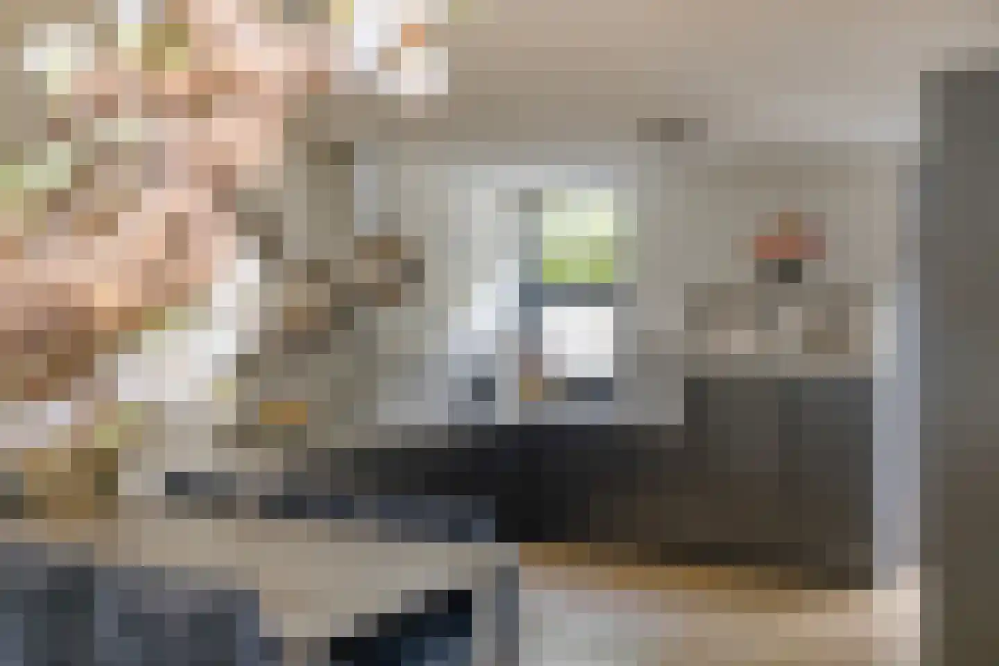 Nelson Mandelastraat 3 Waalwijk thumbnail 13