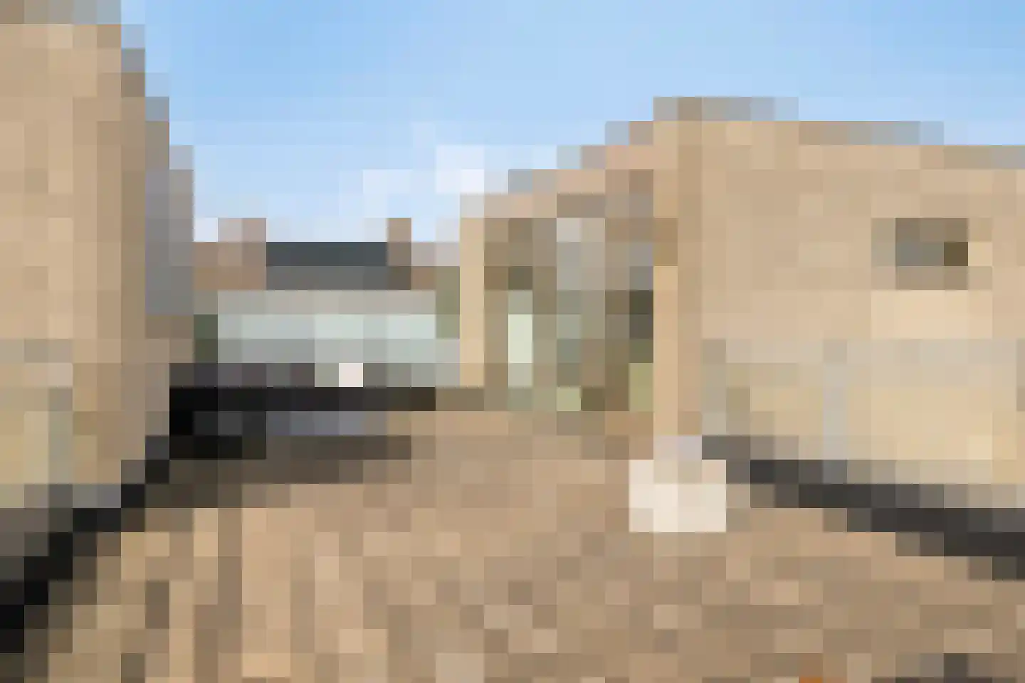 Nelson Mandelastraat 3 Waalwijk thumbnail 32
