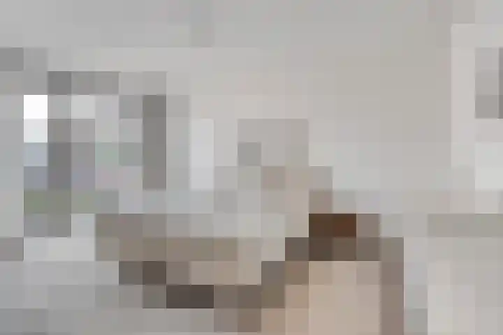 Nelson Mandelastraat 4 Heesch thumbnail 20