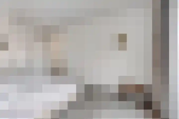 Nelson Mandelastraat 4 Heesch thumbnail 21