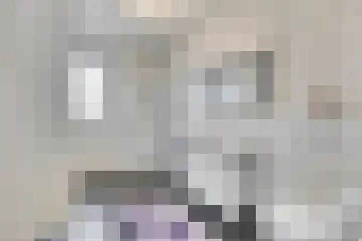 Nelson Mandelastraat 4 Heesch thumbnail 22