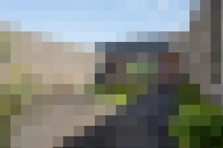 Nelson Mandelastraat 4 Heesch thumbnail 27