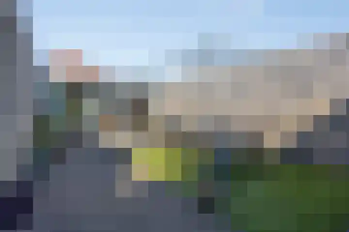 Nelson Mandelastraat 4 Heesch thumbnail 29