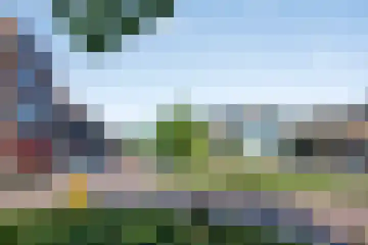Nelson Mandelastraat 4 Heesch thumbnail 33