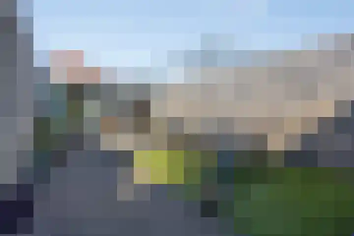 Nelson Mandelastraat 4 Heesch thumbnail 5