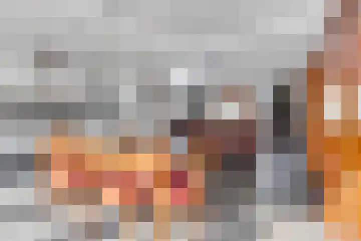 Nelson Mandelastraat 4 Heesch thumbnail 9