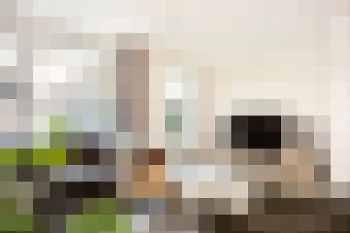 Nelson Mandelastraat 4 Hengelo thumbnail 10