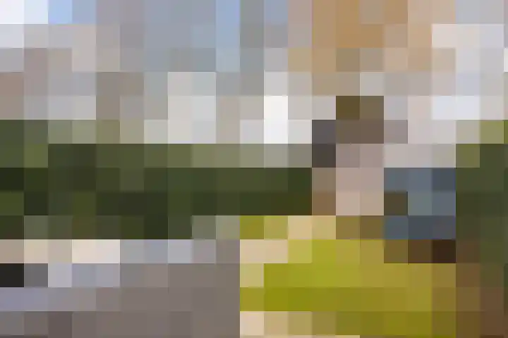 Nelson Mandelastraat 4 Hengelo thumbnail 25
