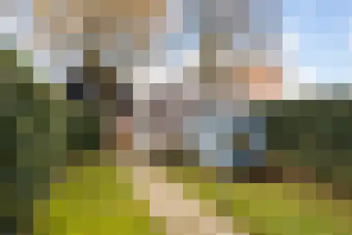 Nelson Mandelastraat 4 Hengelo thumbnail 26