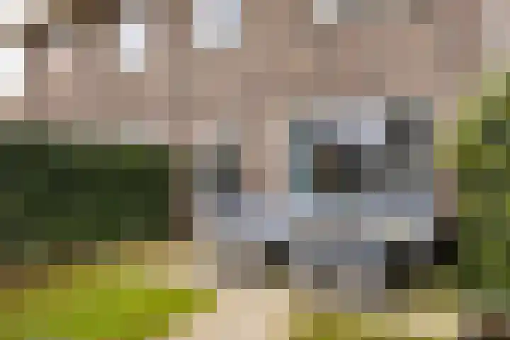Nelson Mandelastraat 4 Hengelo thumbnail 28
