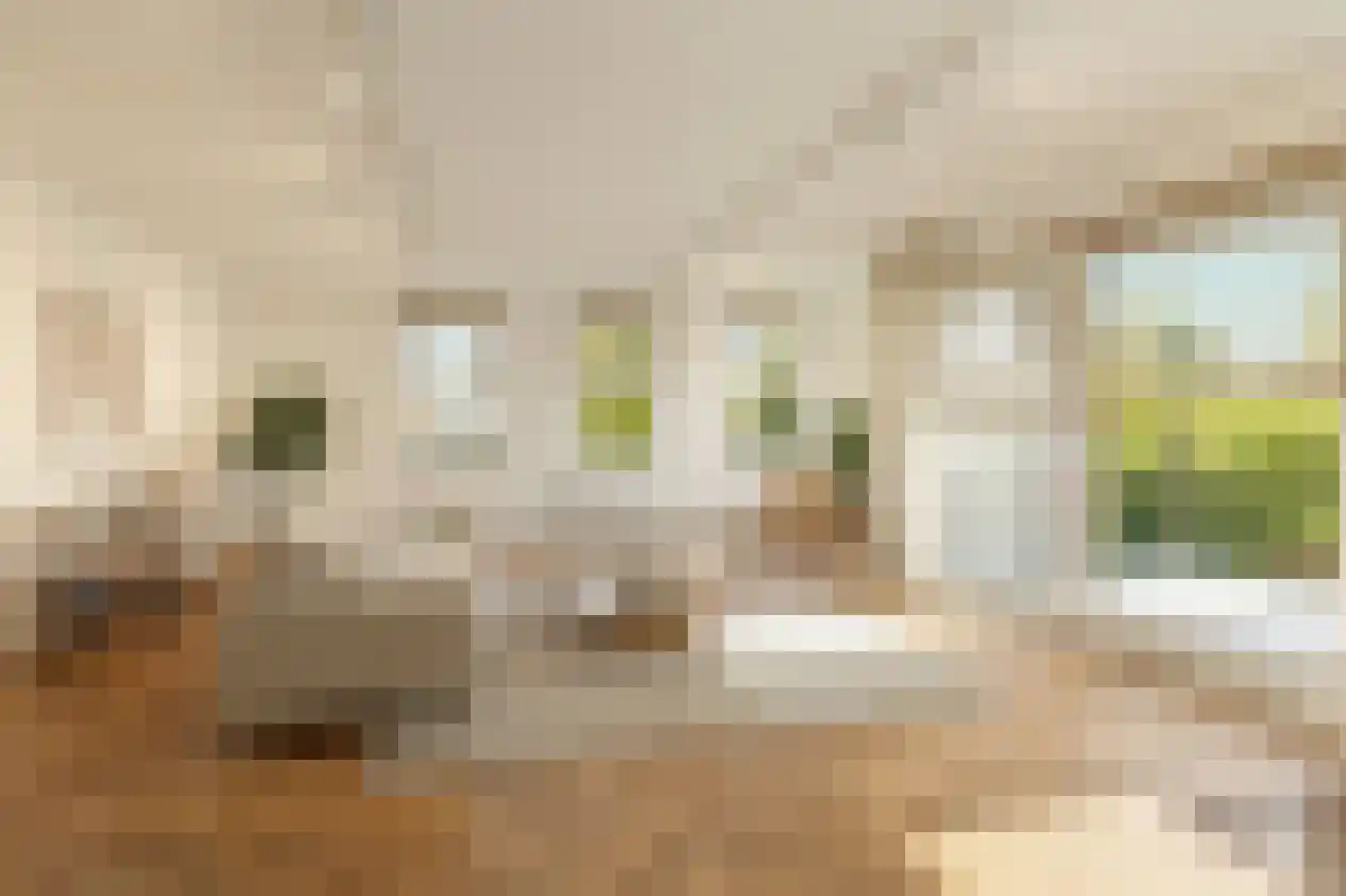 Nelson Mandelastraat 50 Ridderkerk thumbnail 15