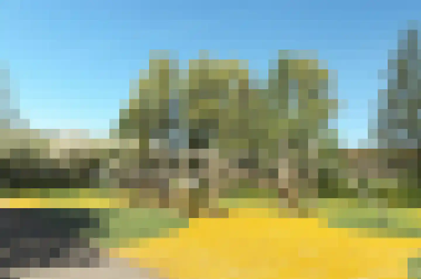 Nelson Mandelastraat 50 Ridderkerk thumbnail 32