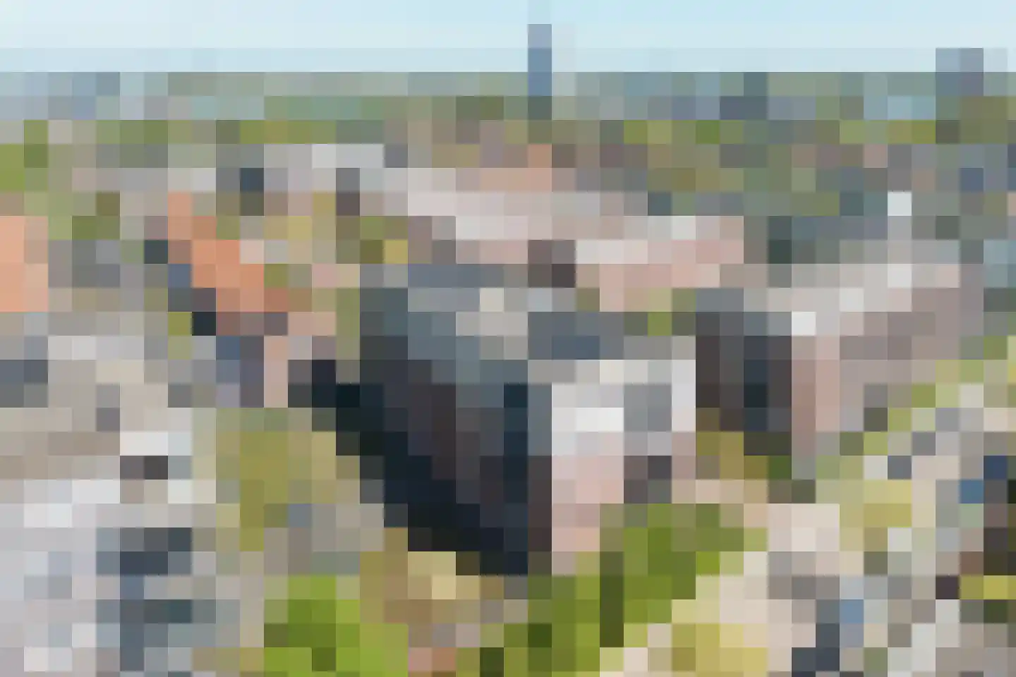 Nelson Mandelastraat 50 Ridderkerk thumbnail 35