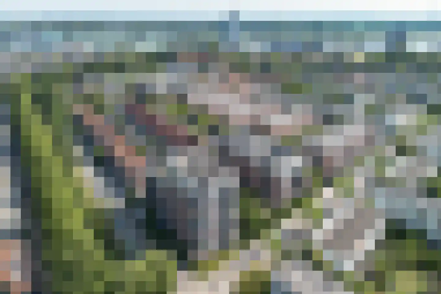 Nelson Mandelastraat 66 Ridderkerk thumbnail 33