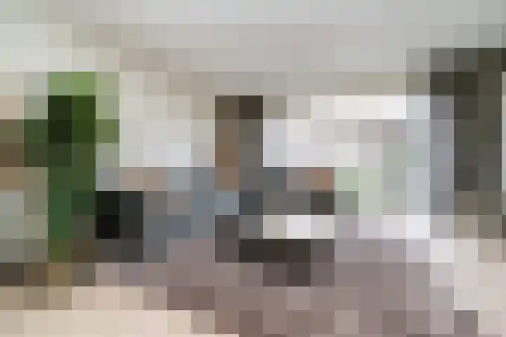 Nelson Mandelastraat 8 Ridderkerk foto 2