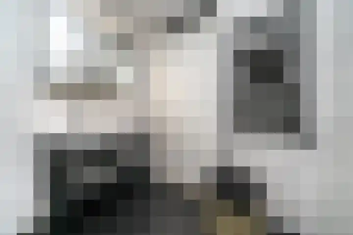 Nelson Mandelastraat 8 Ridderkerk thumbnail 23