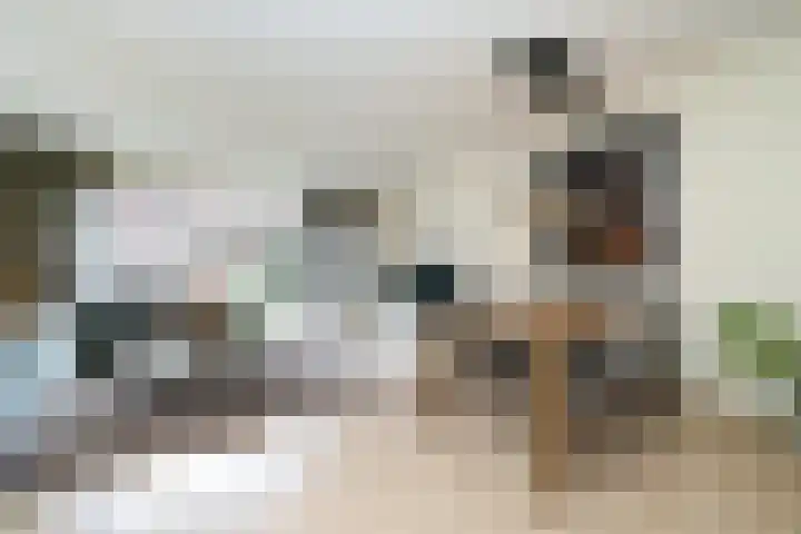 Nelson Mandelastraat 8 Ridderkerk thumbnail 7