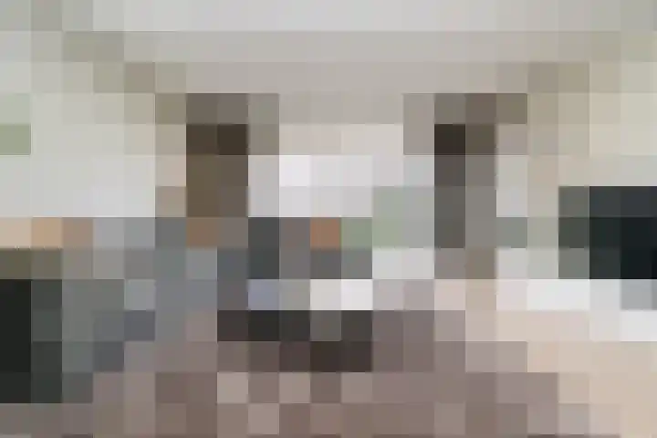 Nelson Mandelastraat 8 Ridderkerk thumbnail 8
