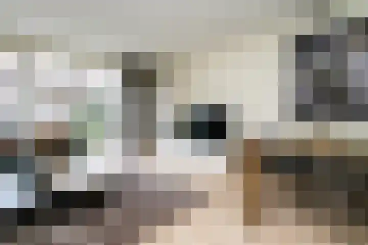 Nelson Mandelastraat 8 Ridderkerk thumbnail 9
