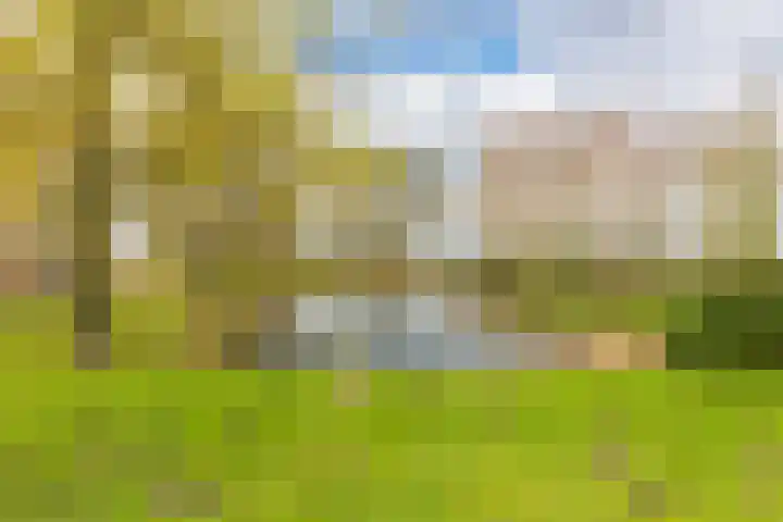 Kantoor foto van nemassdeboer