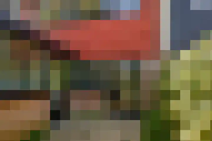 Nemelaar 10 Haarlem thumbnail 28