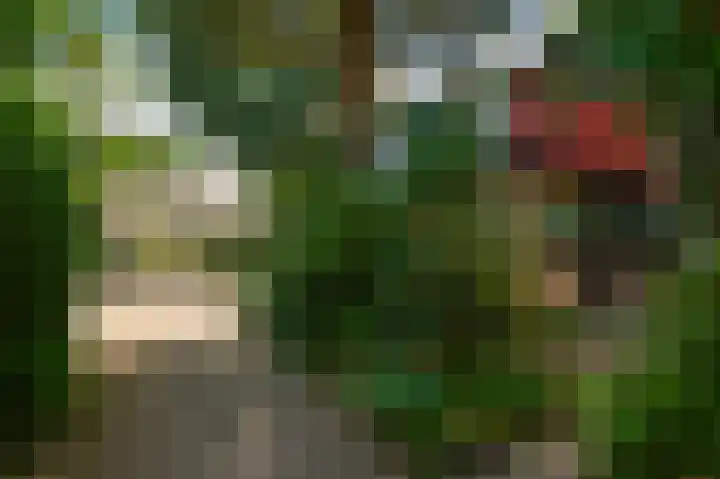 Nemelaar 10 Haarlem thumbnail 29