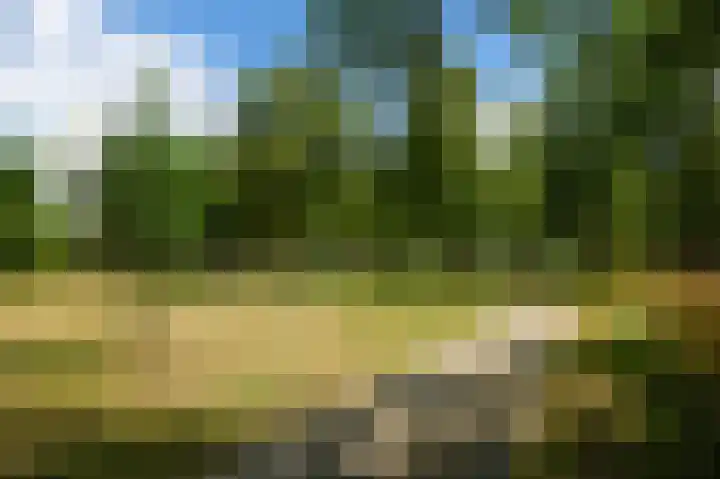 Nemelaar 10 Haarlem thumbnail 30