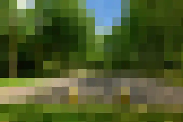 Nemelaar 10 Haarlem thumbnail 31