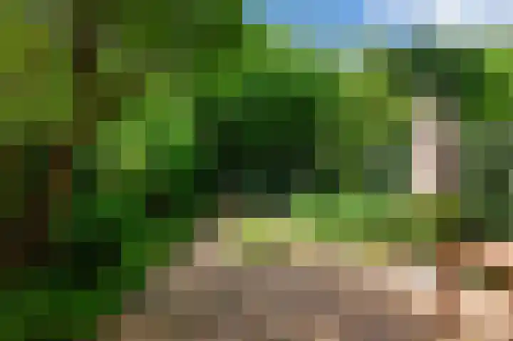 Nemelaar 10 Haarlem thumbnail 5