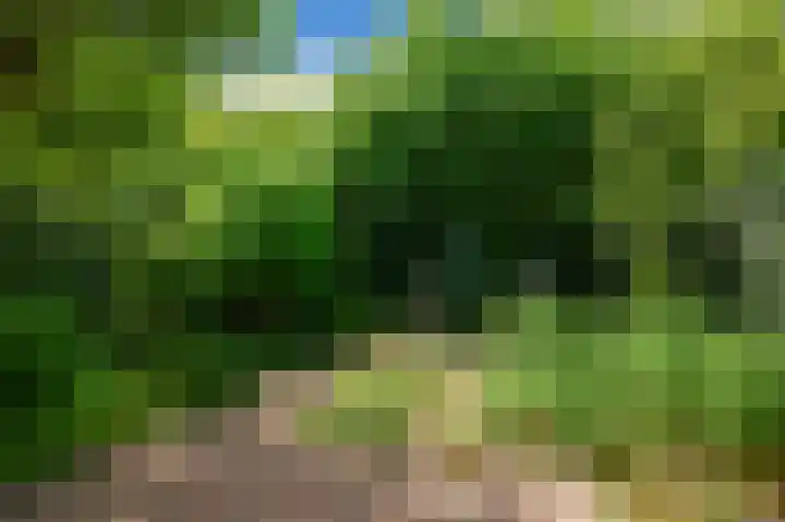 Nemelaar 10 Haarlem thumbnail 6