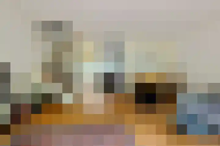 Nemelaar 10 Haarlem thumbnail 8