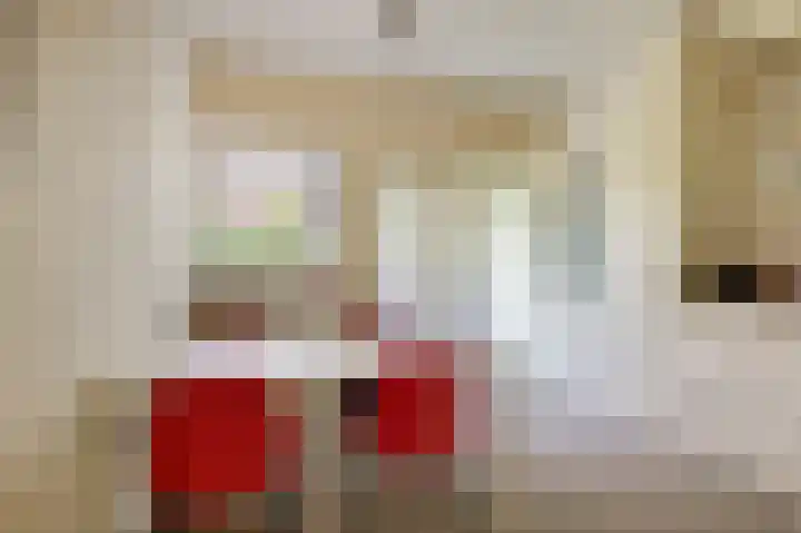 Nemelaar 10 Haarlem thumbnail 9
