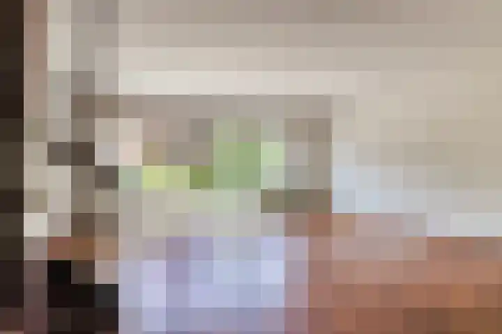 Nemelaar 70 Haarlem thumbnail 12