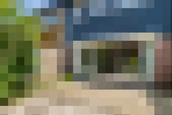Nemelaar 70 Haarlem thumbnail 13