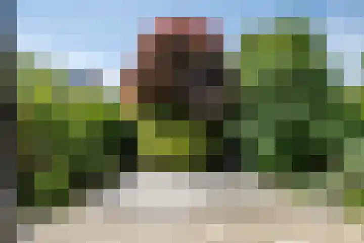 Nemelaar 70 Haarlem thumbnail 14
