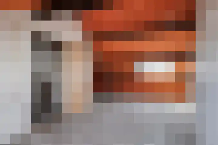 Nemelaar 70 Haarlem thumbnail 28