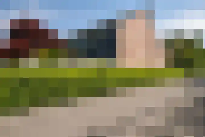 Nemelaar 70 Haarlem thumbnail 29