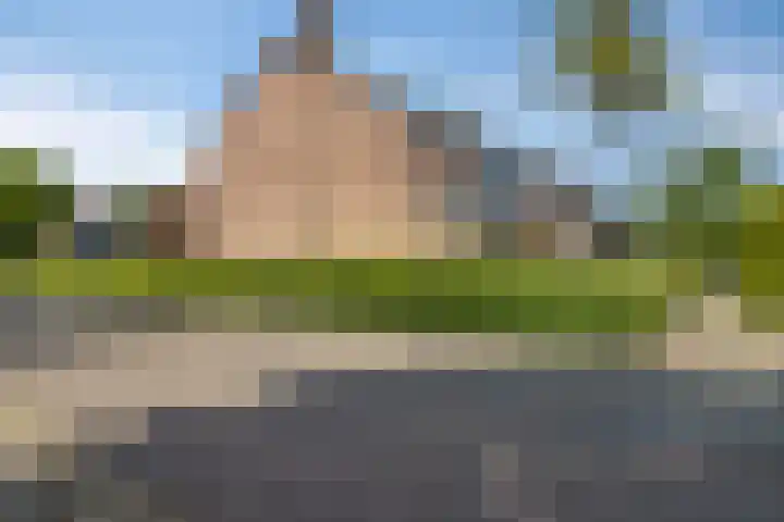 Nemelaar 70 Haarlem thumbnail 30